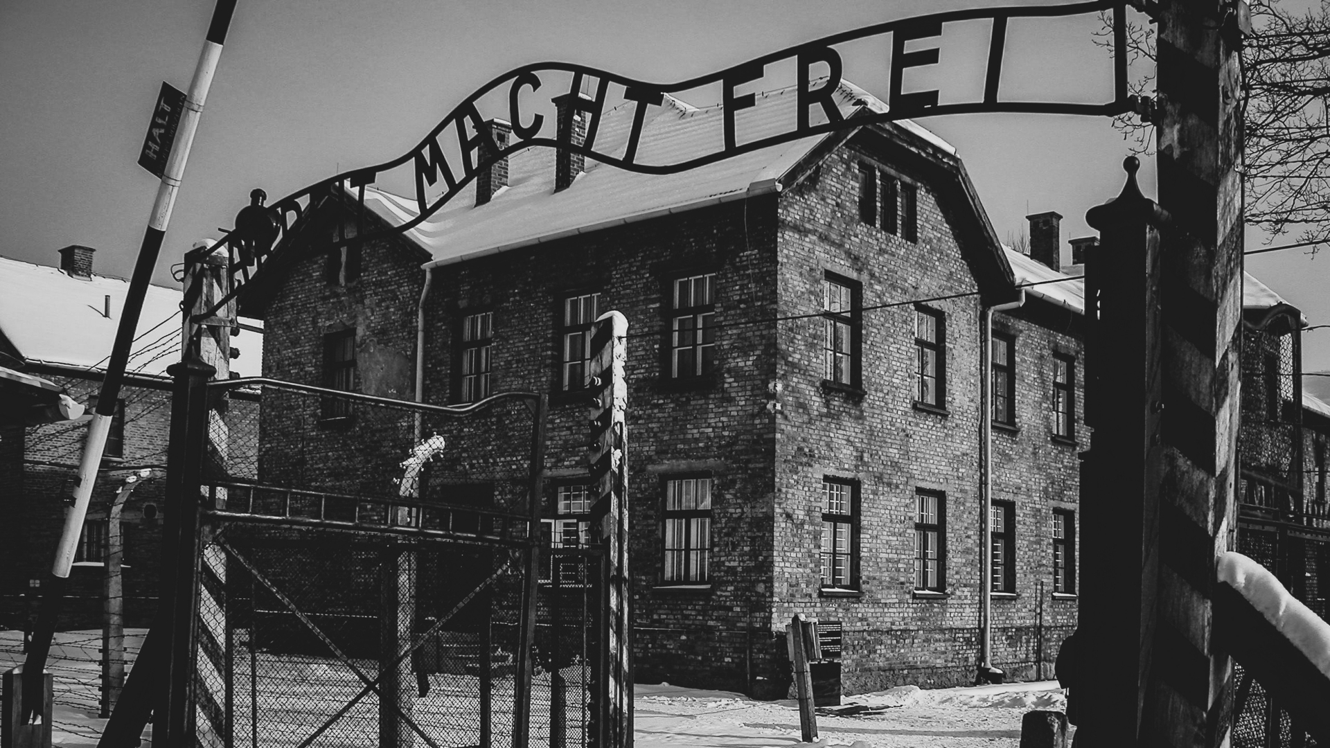 De liefde vinden in... Auschwitz