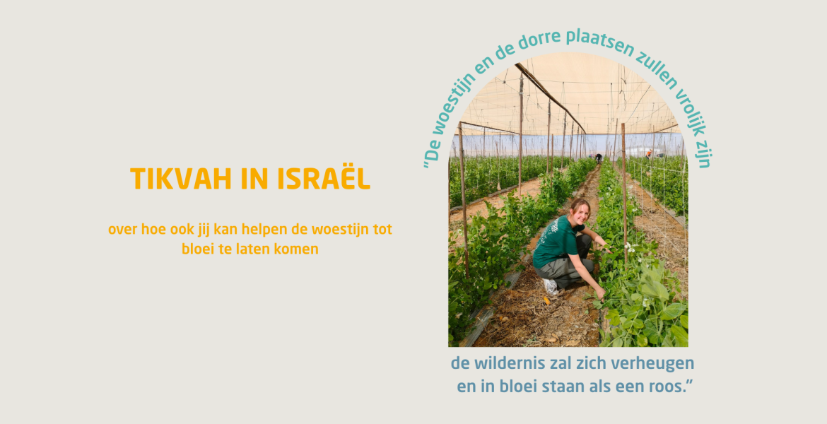 Tikvah in Israel