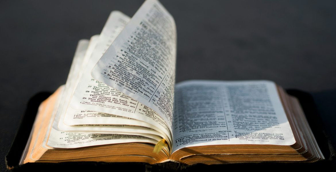 aaron-burden-TNlHf4m4gpI-unsplash