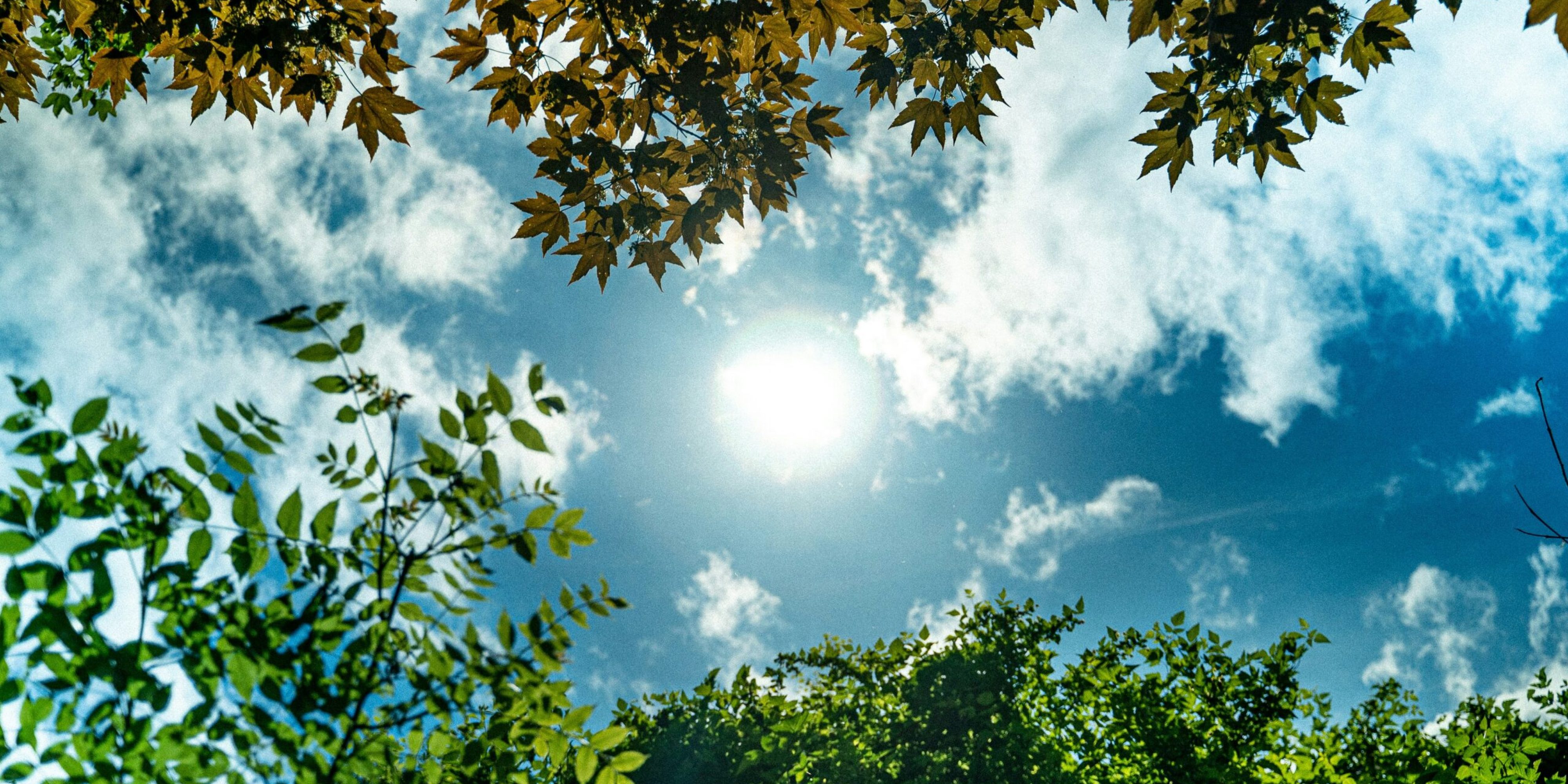 Foto: unsplash