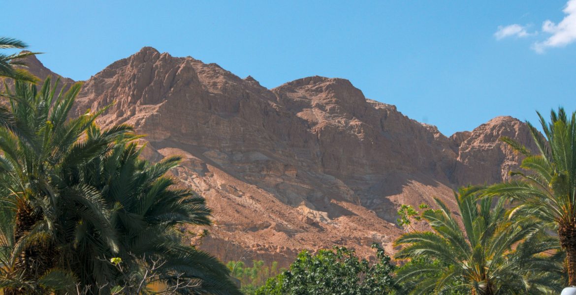 gleb-shvartser-V8fJf1oiW_U-unsplash