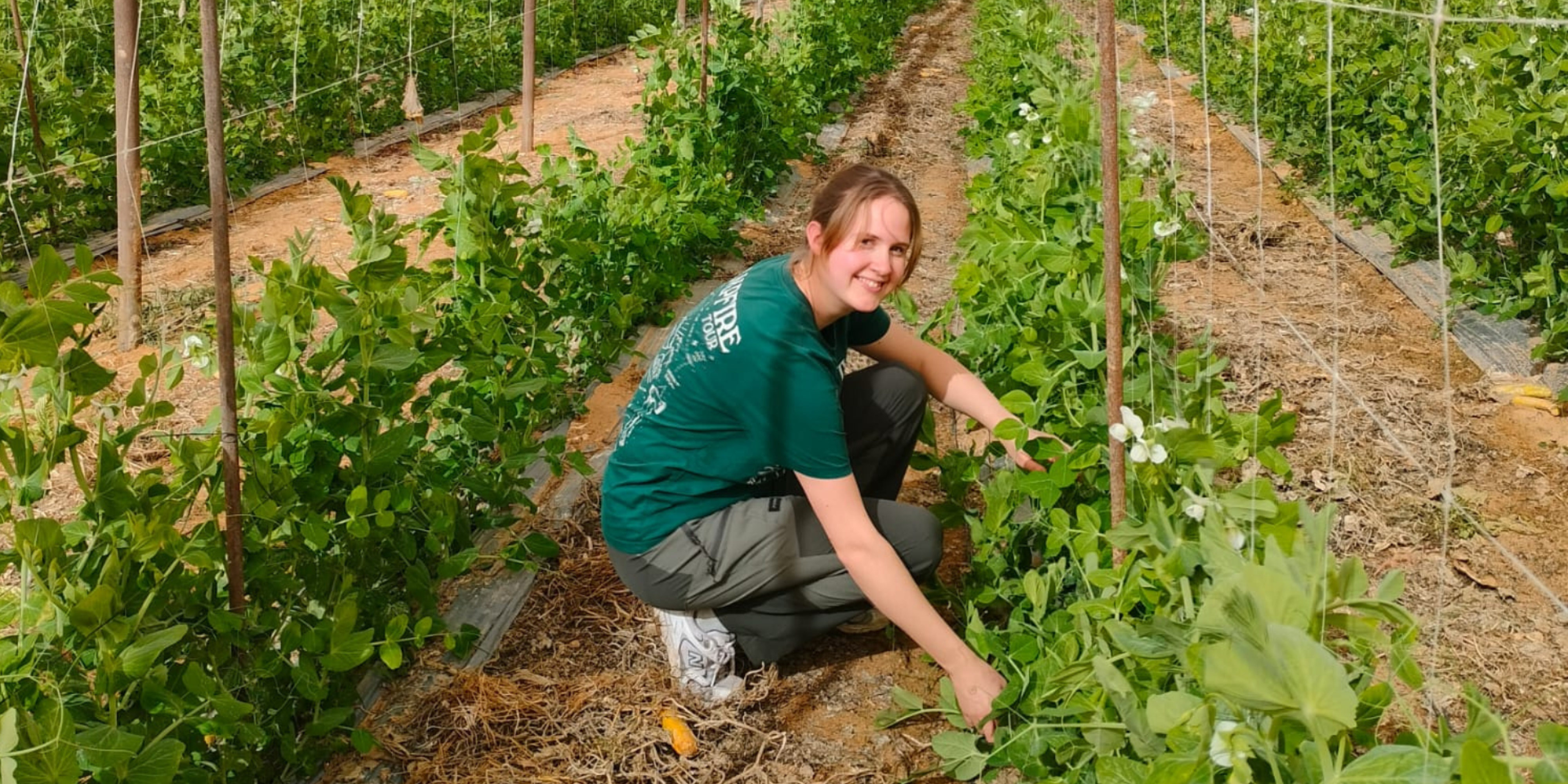 tikvah in israel